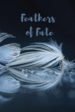 Feathers of Fate- Moon Flower Journal